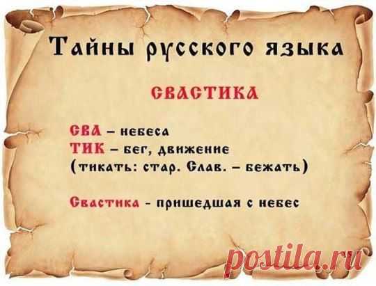 (1) Одноклассники