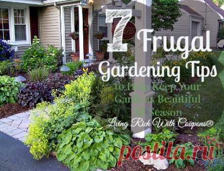 Gardening tips for beginners