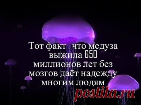Ну, вот да! Надежда умирает последней!