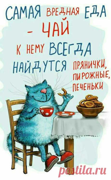 Самая вредная еда (открытка 1100): Бесплатные картинки &amp;#8226; Открытки Топ