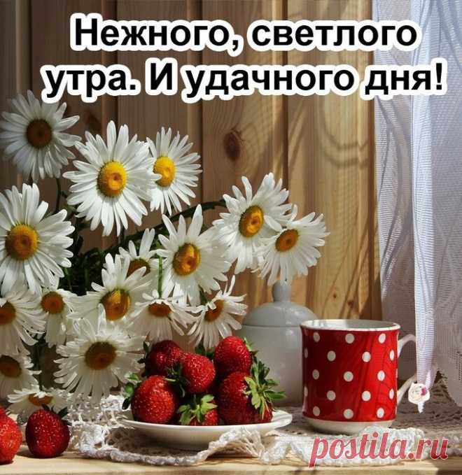 Мотиваторы и Демотиваторы
