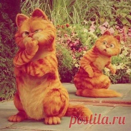 Вот уважаю людей, которые планируют.....а у меня вечно всё на дикой импровизации, с салютами, песнями и воздушными шариками блин!