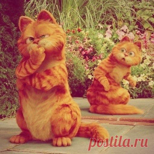 Вот уважаю людей, которые планируют.....а у меня вечно всё на дикой импровизации, с салютами, песнями и воздушными шариками блин!