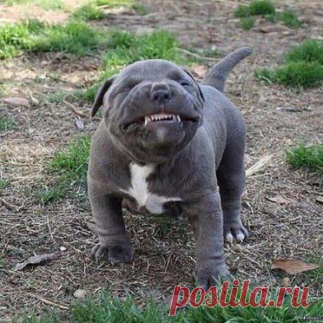 Нужно всегда улыбаться! Кому-то искренне, а кому-то назло! )))