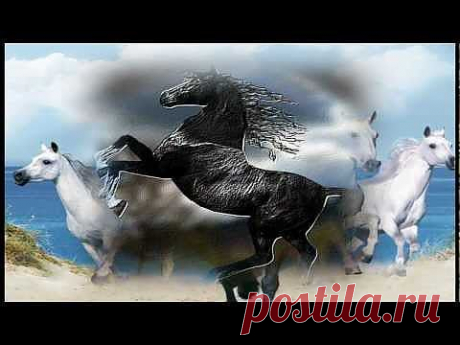 ▶ И.Штраус &quot;Радецкий марш&quot; (Красивые лошади) - YouTube