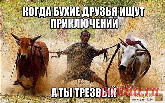 Убойный юмор понедельника / Картинки: Приколы