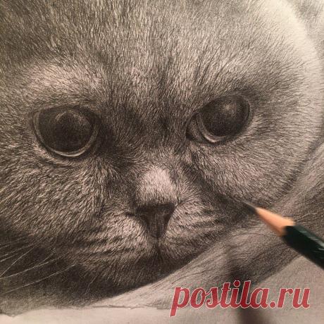 Рисунок карандашом