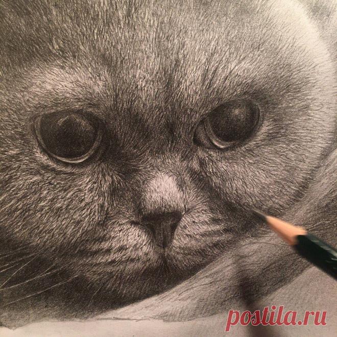 Рисунок карандашом