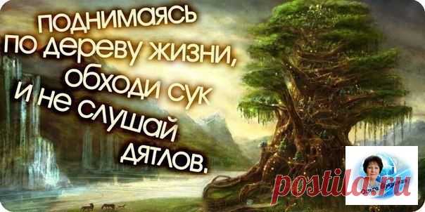 Прорыв MLM в интернет