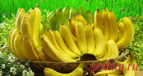 Если Вы обожаете бананы прочтите эти 10 шокирующих фактов! — Домашние
