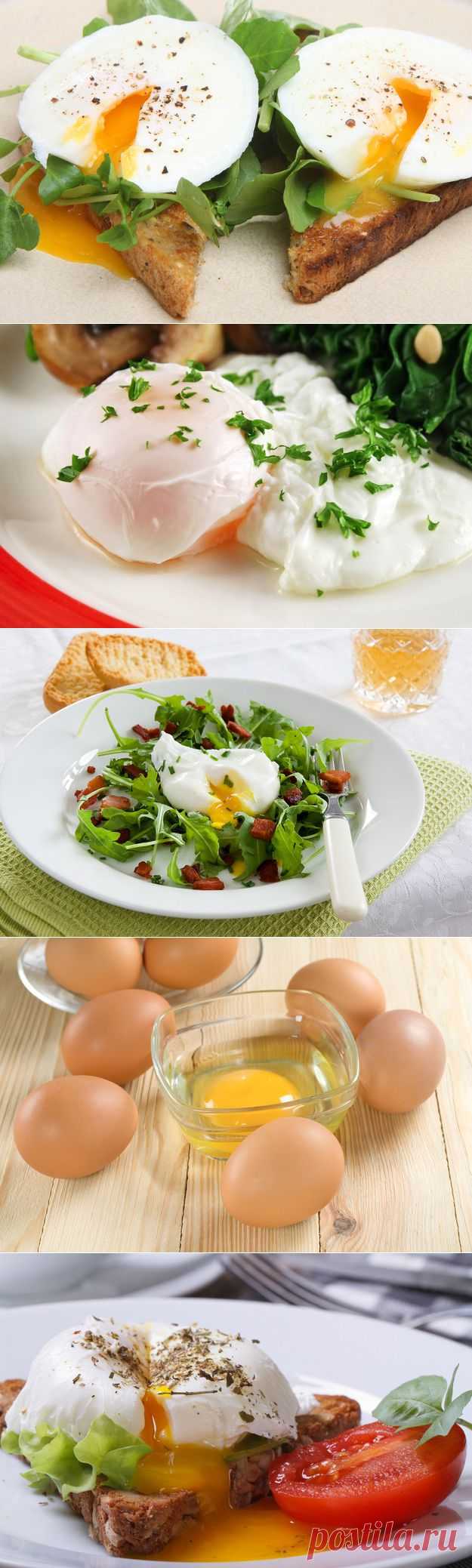 Яйцо пашот: секреты приготовления | Четыре вкуса