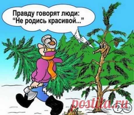 САМОЕ ИНТЕРЕСНОЕ ✦ ЛУЧШЕЕ ВИДЕО
