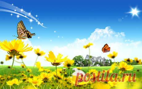 beautiful_flowers_home-widescreen_wallpapers.jpg (Изображение JPEG, 1920 × 1200 пикселов) - Масштабированное (64%)