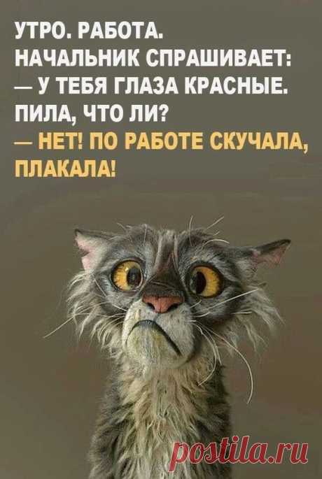 В жизни всегда есть место юмору
