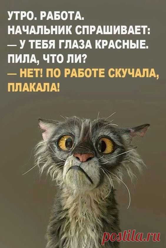 В жизни всегда есть место юмору