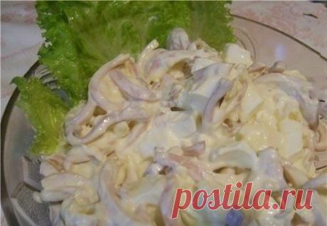 Очень вкусный салат из кальмаров с плавленым сыром Ингредиенты: кальмары — 300 г яйца — 2 шт зелень сырок плавленый — 1 шт чеснок — 2 дольки майонез Приготовление: 1. Тушки кальмаров вымыть, удалить внутренности, очистить от пленочки и удалить хрящевую пластинку; отварить кальмаров, опустив в кипящую подсоленную воду и варить 2 минуты с момента закипания. 2. Кальмары вынуть из отвара, охладить и порезать соломкой. 3. Плавленый сырок натереть на крупной терке (сырок предварительно хорошо…