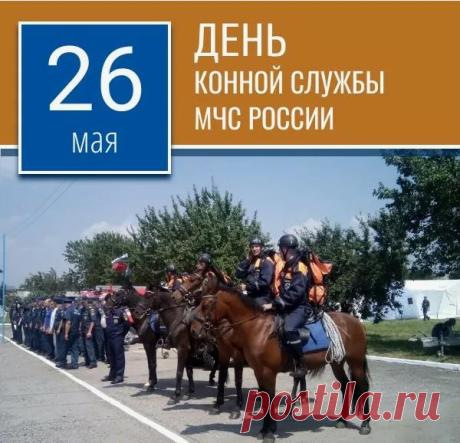 С праздником! Желаю послушных лошадок, мягкой рыси, легких стартов и отличного настроения в седле!