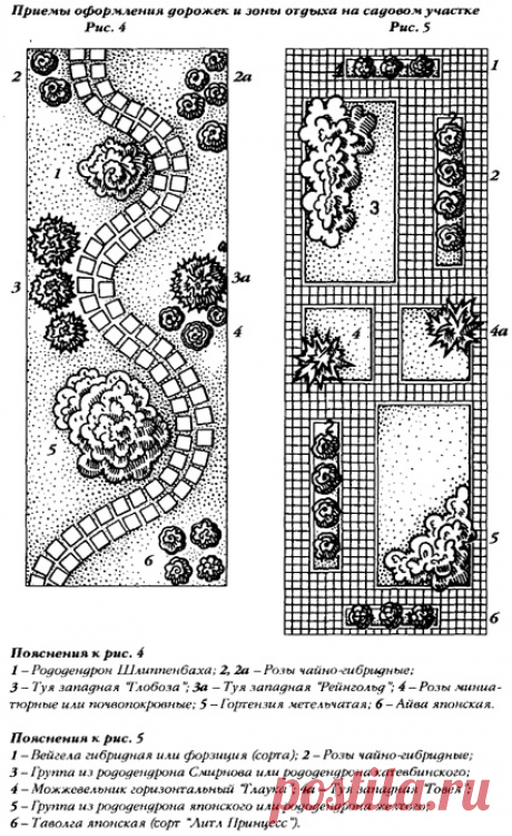 Аристократы сада (7)