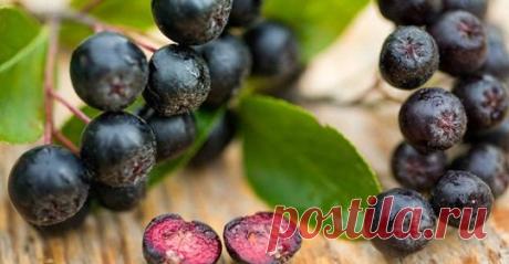 (3) Facebook