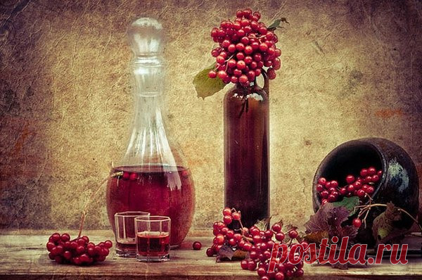 Вино из красной рябины в домашних условиях | АгроГном | Яндекс Дзен