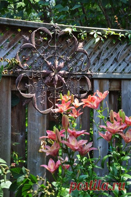 Three Dogs in a Garden: 10 Great Ways to Dress up a Wall or Fence