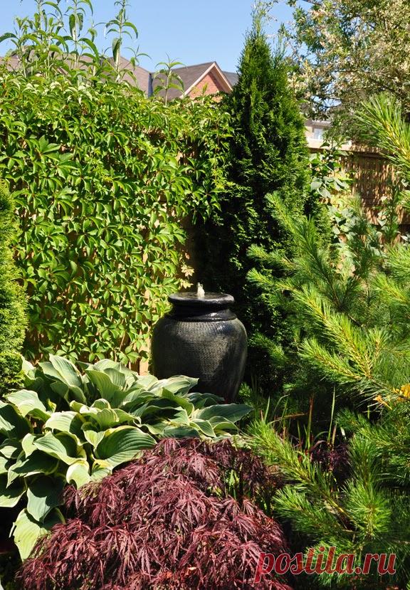 Three Dogs in a Garden: 10 Great Ways to Dress up a Wall or Fence