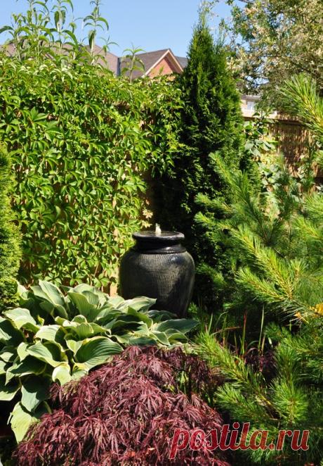 Three Dogs in a Garden: 10 Great Ways to Dress up a Wall or Fence