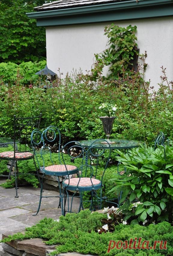 Three Dogs in a Garden: 10 Great Ways to Dress up a Wall or Fence