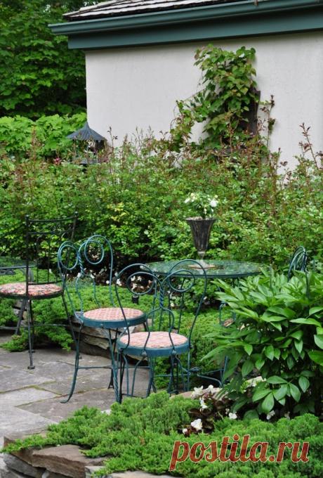 Three Dogs in a Garden: 10 Great Ways to Dress up a Wall or Fence