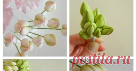 Petalsweet Bud Tutorials In addition to creating sugar flowers for our cake designs and classes, one of our favorite things to do at Petalsweet is to make  flower bu...