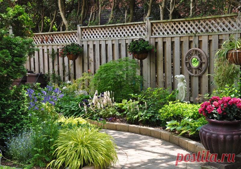 Three Dogs in a Garden: 10 Great Ways to Dress up a Wall or Fence