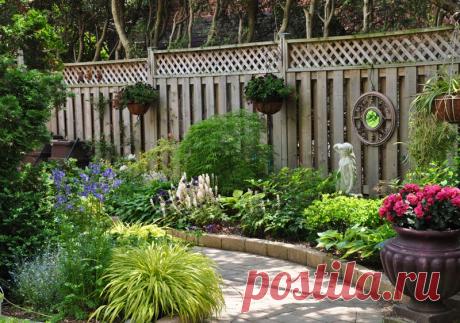 Three Dogs in a Garden: 10 Great Ways to Dress up a Wall or Fence