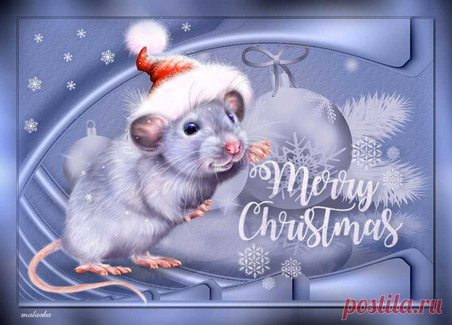 MERRY CHRISTMAS AND HAPPY NEW YEAR TO ALL!