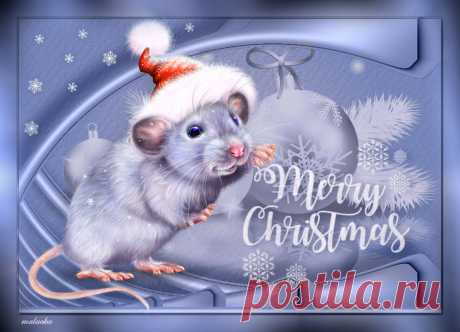 MERRY CHRISTMAS AND HAPPY NEW YEAR TO ALL!