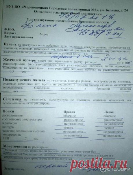 Отзыв о УЗИ брюшной полости и почек | Проверить животик никому не помешает!