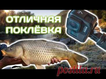 Рыбалка на реке - это увлекательное занятие, требующее хорошей подготовки и знаний. Давайте разберемся в этом процессе шаг за шагом.
1. Подготовка места:
Первое, что нужно сделать, это выбрать место для рыбалки. Карп и карась часто находятся у берега, где есть заросли, низина или другие места, где рыба может спрятаться.
Очистите выбранное место от мусора и растительности, чтобы не мешать собственной рыбе.
На что ловить крупного карпа?