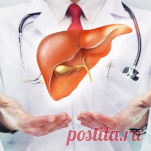 5 золотых правил по уходу за своей печенью... Они помогут вам восстановиться после праздничных застолий и держать печень в тонусе!