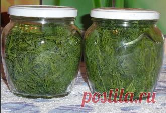 Готовим вкусно - Хранение укропа на несколько месяцев свежим без заморозки