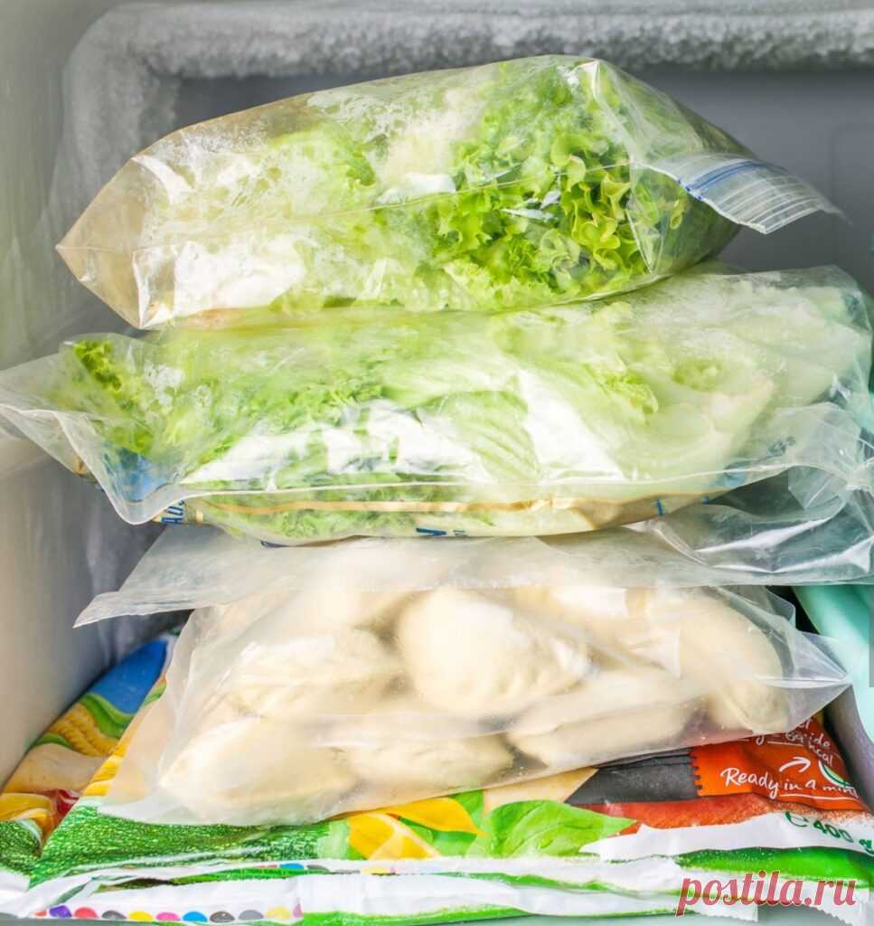 Какие продукты можно замораживать Ремонт техники-ИП Сивов