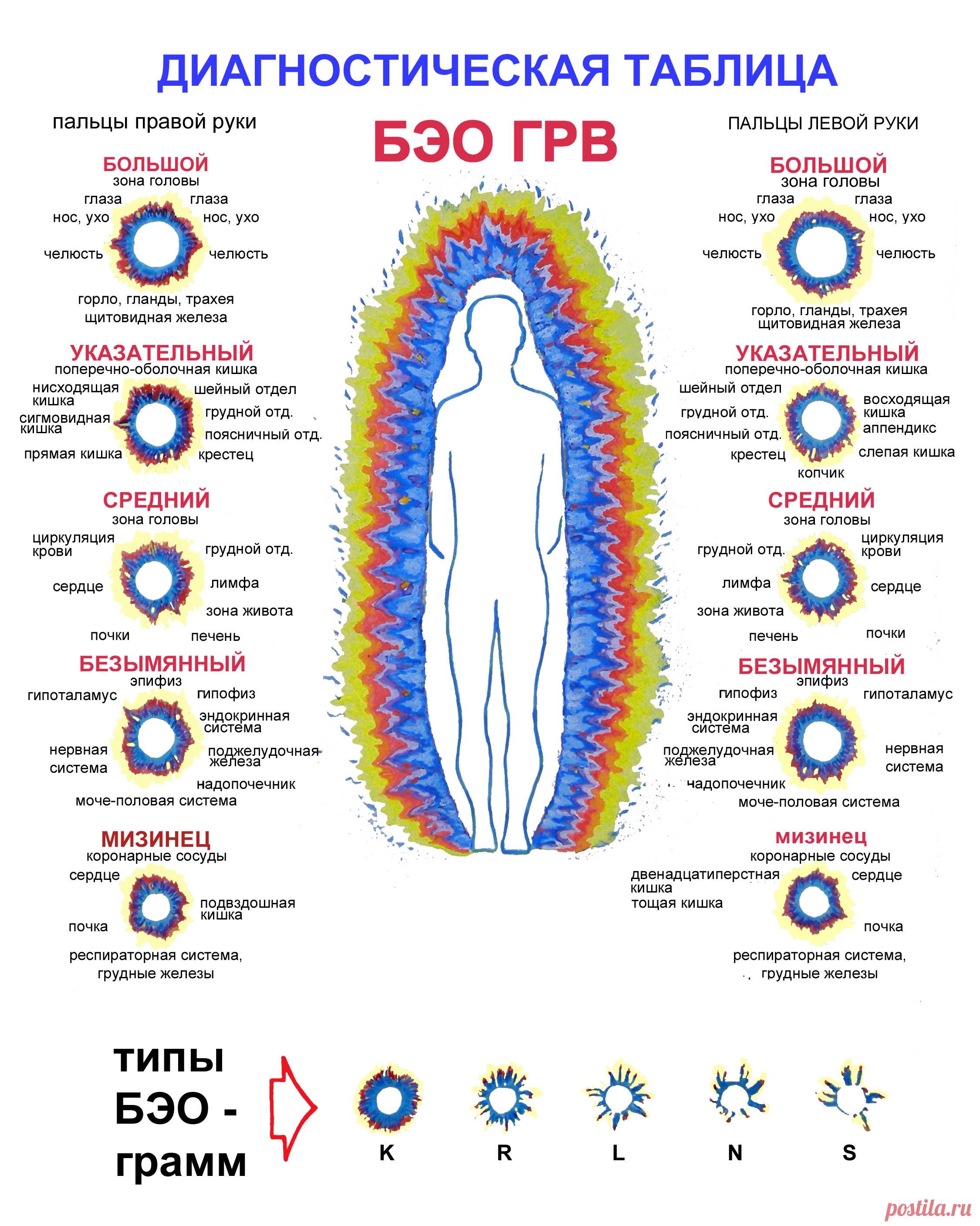 Психосоматика левая рука пальцы. Психосоматика точки на теле. Психосоматика схема. Чакры и болезни психосоматика. Пальцы и чакры.