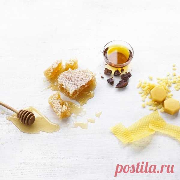 Мазь прополиса: показания, способы применения и приготовления ...