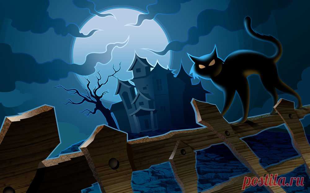 Обои Черная кошка выгнула спину на заборе на фоне мрачного дома и луны на рабочий стол, страница