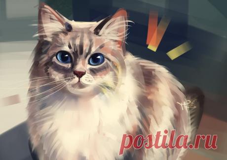 Обои Кошка с голубыми глазами, by Polina 1NFIN1TY Cheliadinova на рабочий стол, страница