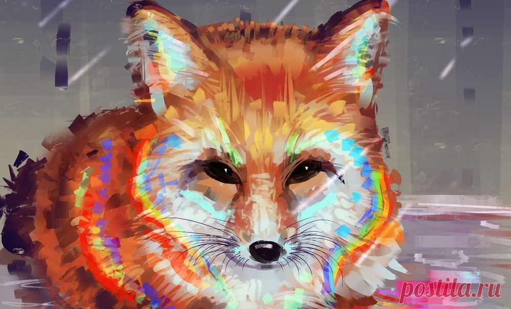 Обои Рыжая лиса, by Polina 1NFIN1TY Cheliadinova на рабочий стол, страница