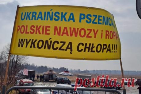 В Польше заявили, что Украина «получит счет» за оказанную Варшавой помощь. Правая коалиция «Конфедерация» оценила поддержку Киева Варшавой в 100 миллиардов золотых.