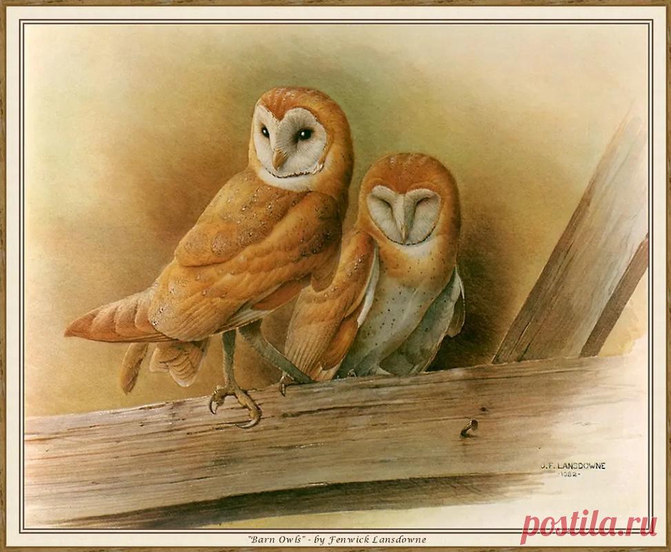 РЕДКИЕ ПТИЦЫ КИТАЯ В ПРЕКРАСНЫХ РАБОТАХ художника Дж. Фенвик Лэнсдауна(J. Fenwick Lansdowne