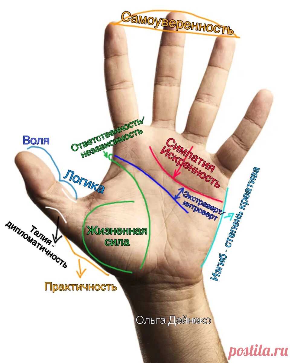 Основные качества личности на руке. | Ольга Дейнеко | Дзен