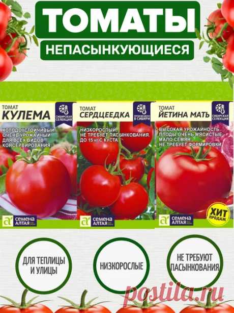 'семена алтая томаты для открытого грунта