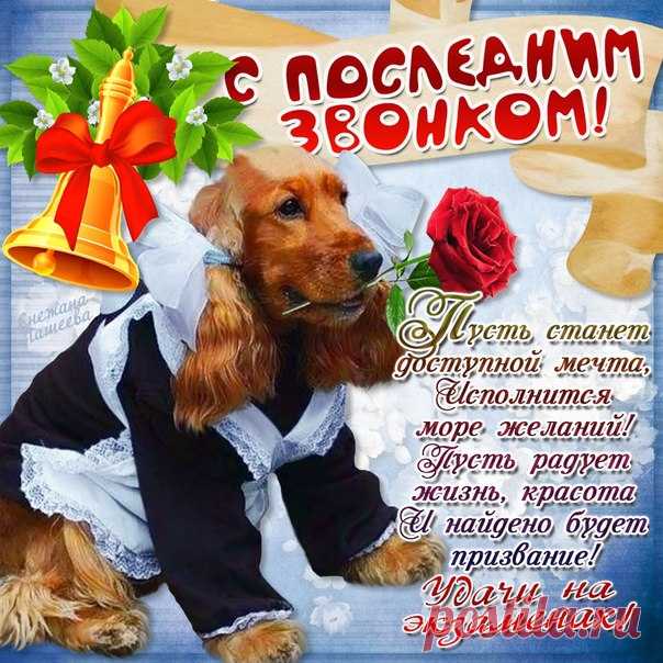 Пусть в майский день звенит звонок,
Окончен школьный ваш урок.
Вперед, смелее, в добрый путь!
В мир взрослый предстоит шагнуть.