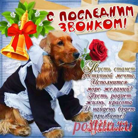 Пусть в майский день звенит звонок,
Окончен школьный ваш урок.
Вперед, смелее, в добрый путь!
В мир взрослый предстоит шагнуть.